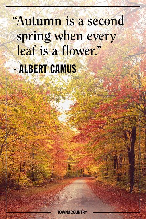 autumn of life quotes